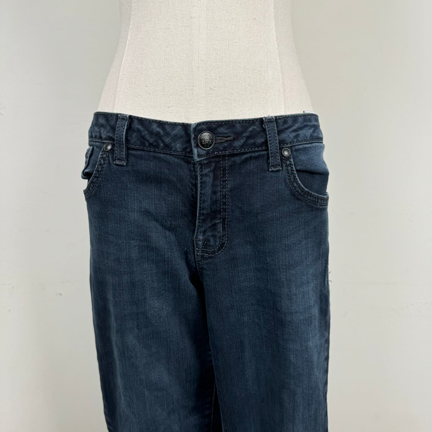 Dark Wash Low Rise Skinny Jeans