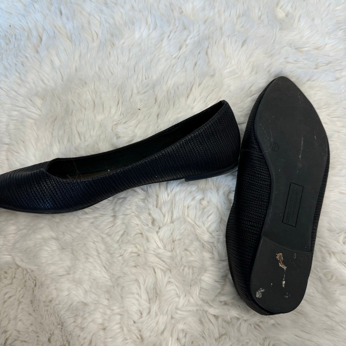 Black Pointy Ballet Flats (US 7/7.5)