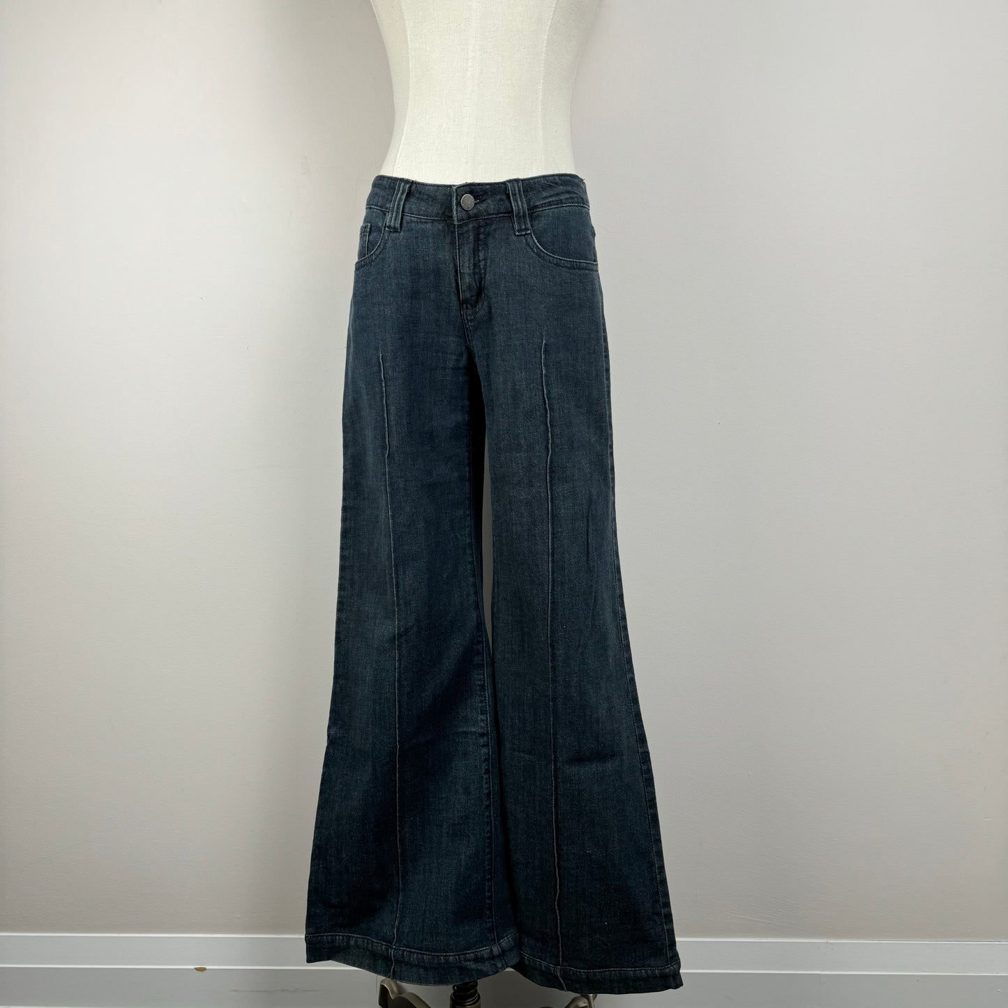 Faded Wide Leg Low Rise Jeans