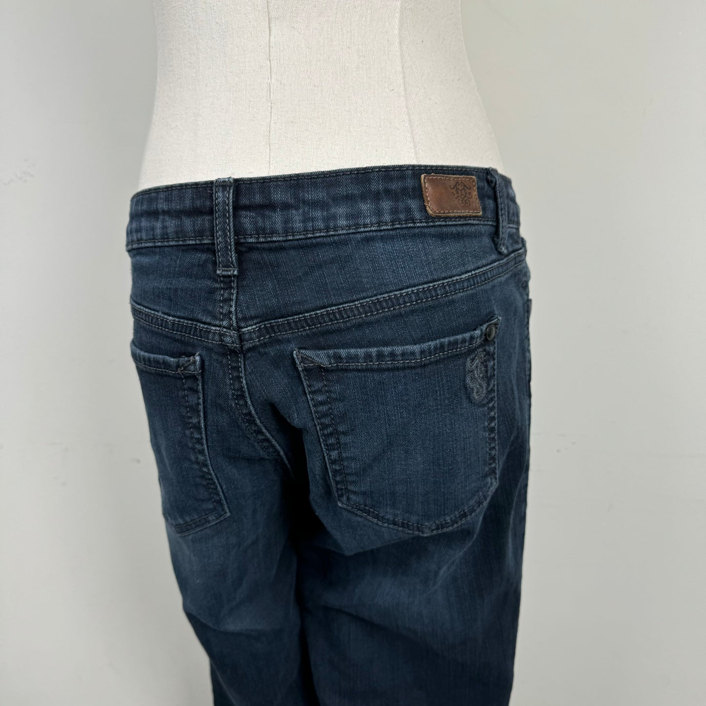 Dark Wash Low Rise Skinny Jeans