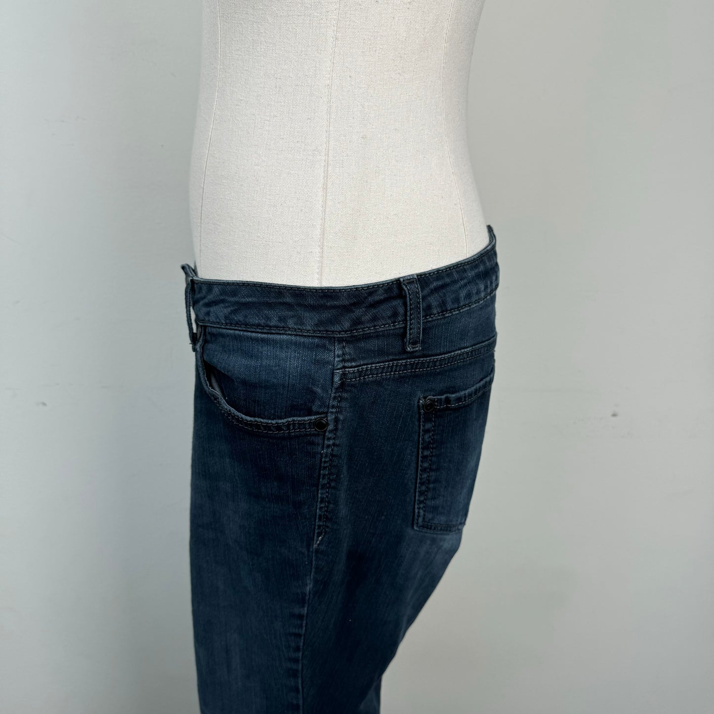 Dark Wash Low Rise Skinny Jeans