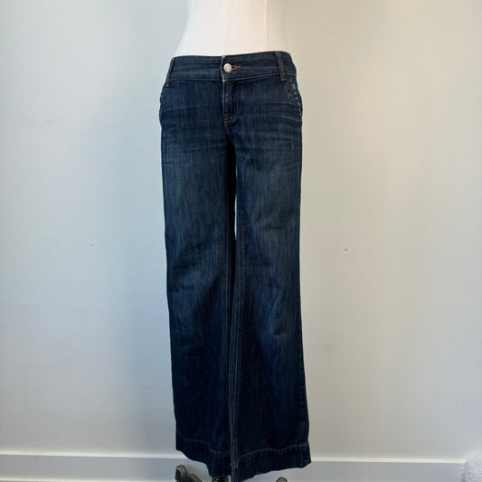 Dark Wash Low Rise Flared Jeans